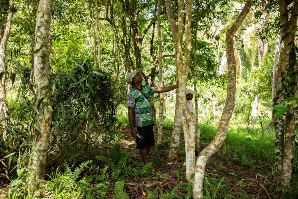 April-Salumei—PNG—team-in-forest April Salumei Forest in PNG