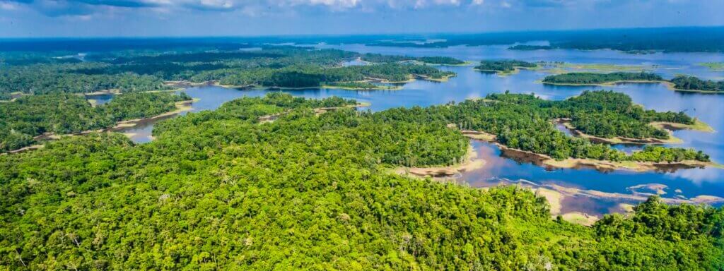 TEMs-Article-July2025 Aerial shot of the April Saumei Rainforest