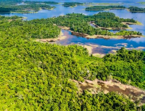 Supporting One Of The Largest Rainforest Conservation Projects In The World