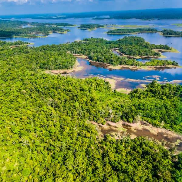 Aerial shot of the April Saumei Rainforest